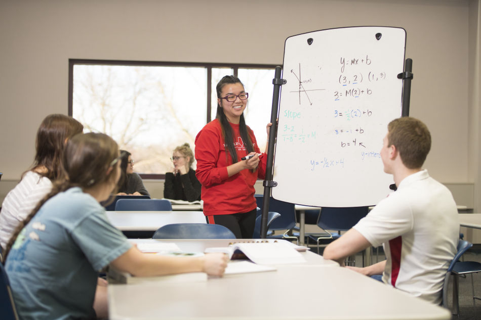Student tutoring services