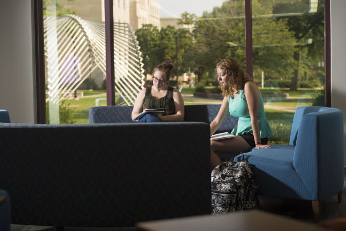 Students Working Together in the Library